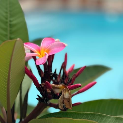 Loloho Lodge Atmosphere 6