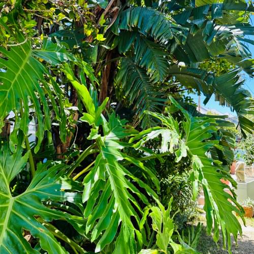 Loloho Lodge Atmosphere 8